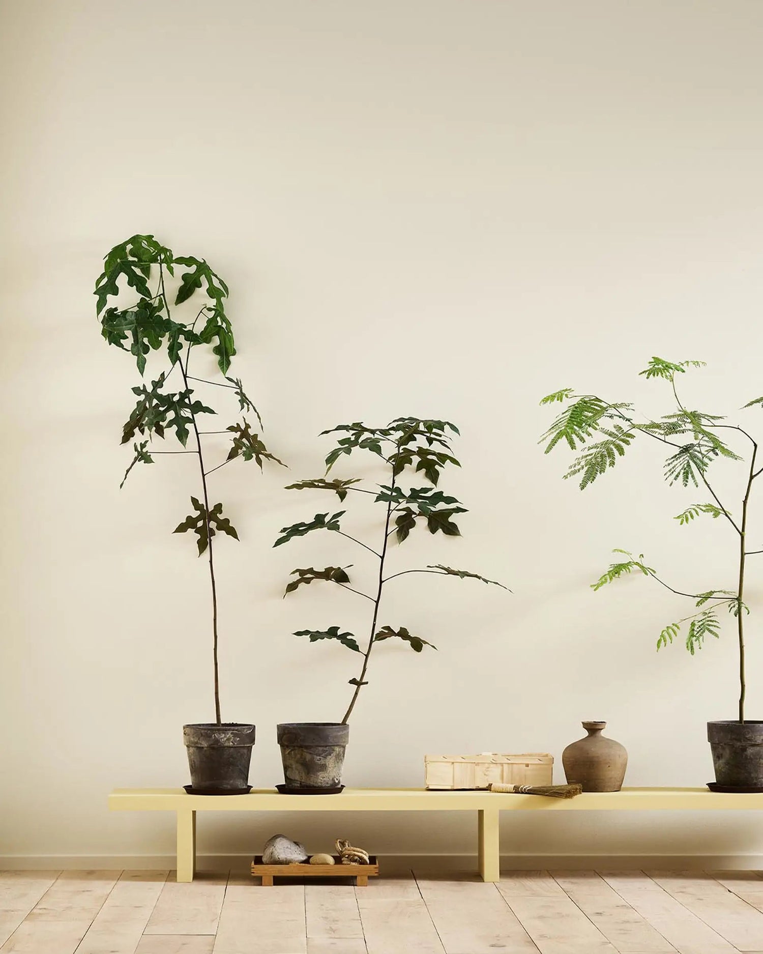 Jotun Lady GINGER TEA - 1965 - Malprivat.dk