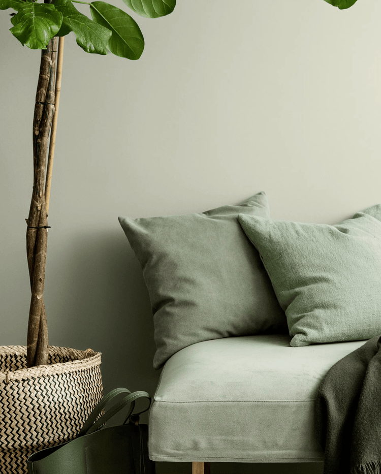 Jotun Lady PALE LINDEN - 8281 - Malprivat.dk