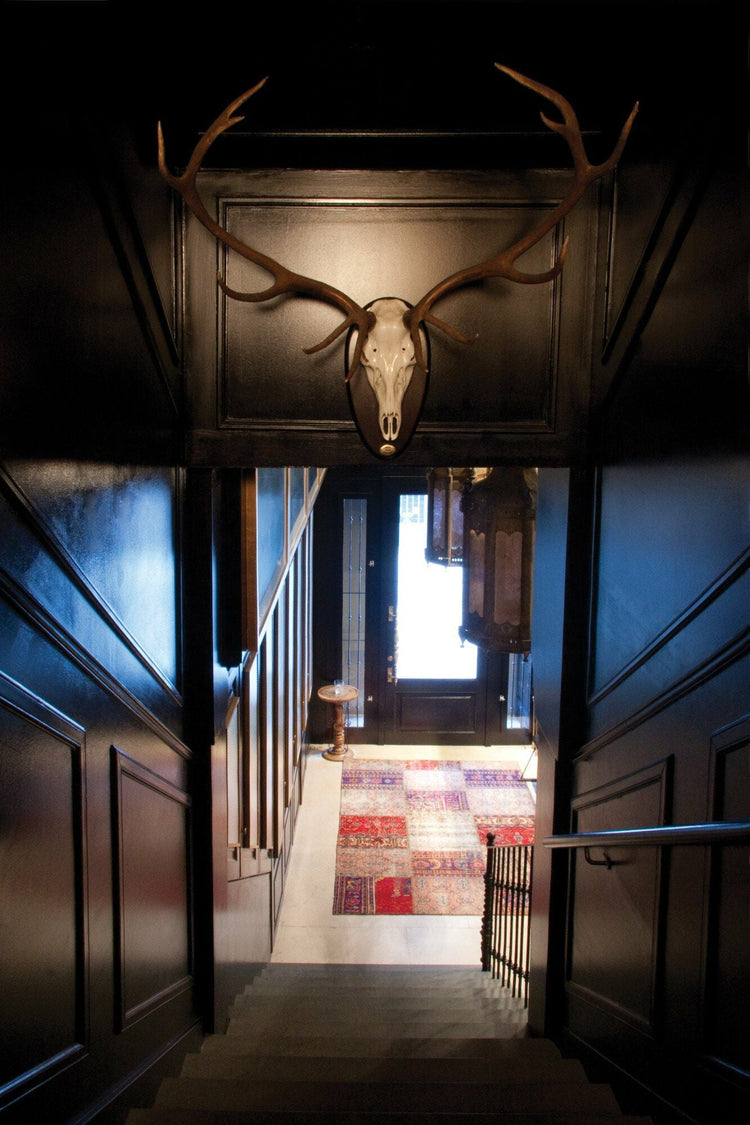 Orac PX144 Duropolymer Vægliste - Malprivat.dk