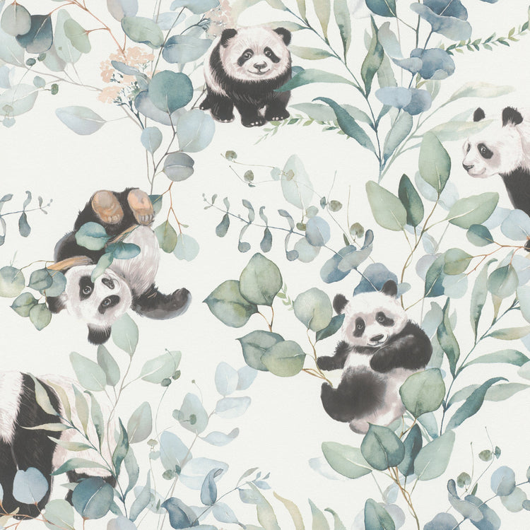 Panda - Malprivat.dk