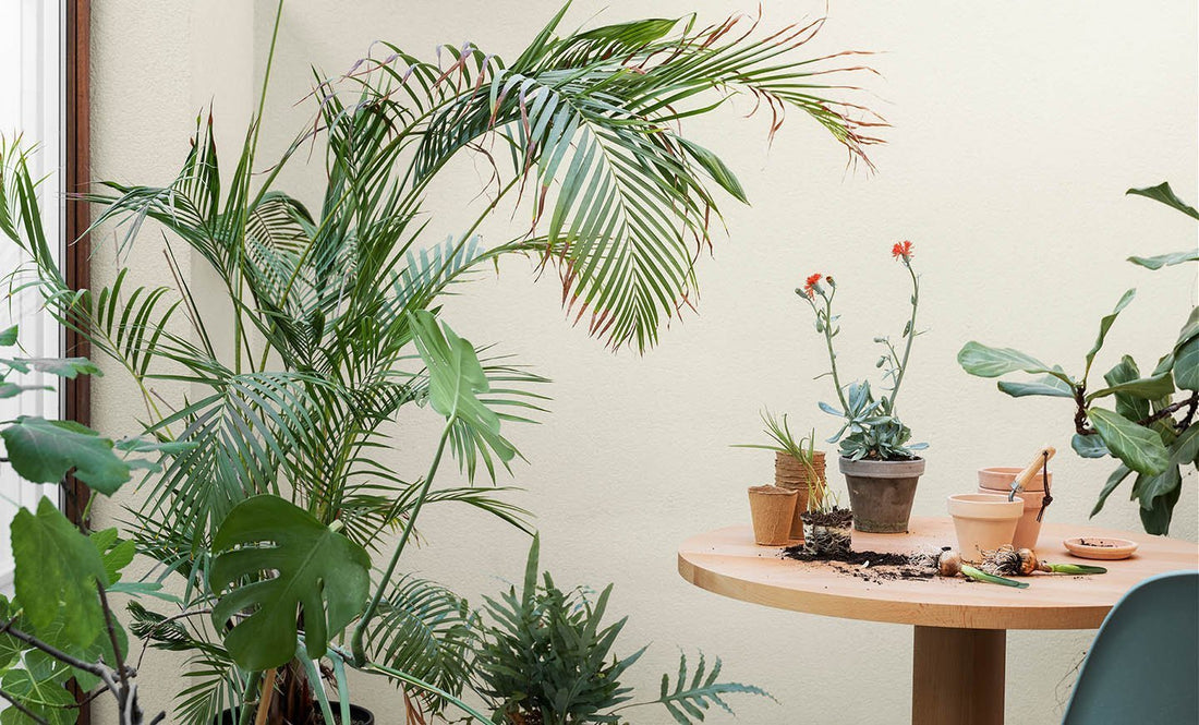 Jotun Lady 10678 Space - Malprivat.dk