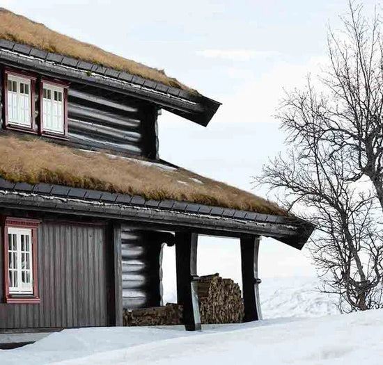 Kan maling tåle frost? - Malprivat.dk