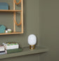 Jotun 8479 EVERGREEN – farveinspiration fra Jotun