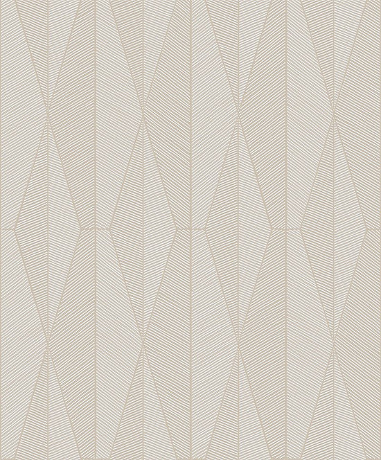 Ari Oyster - Malprivat.dk