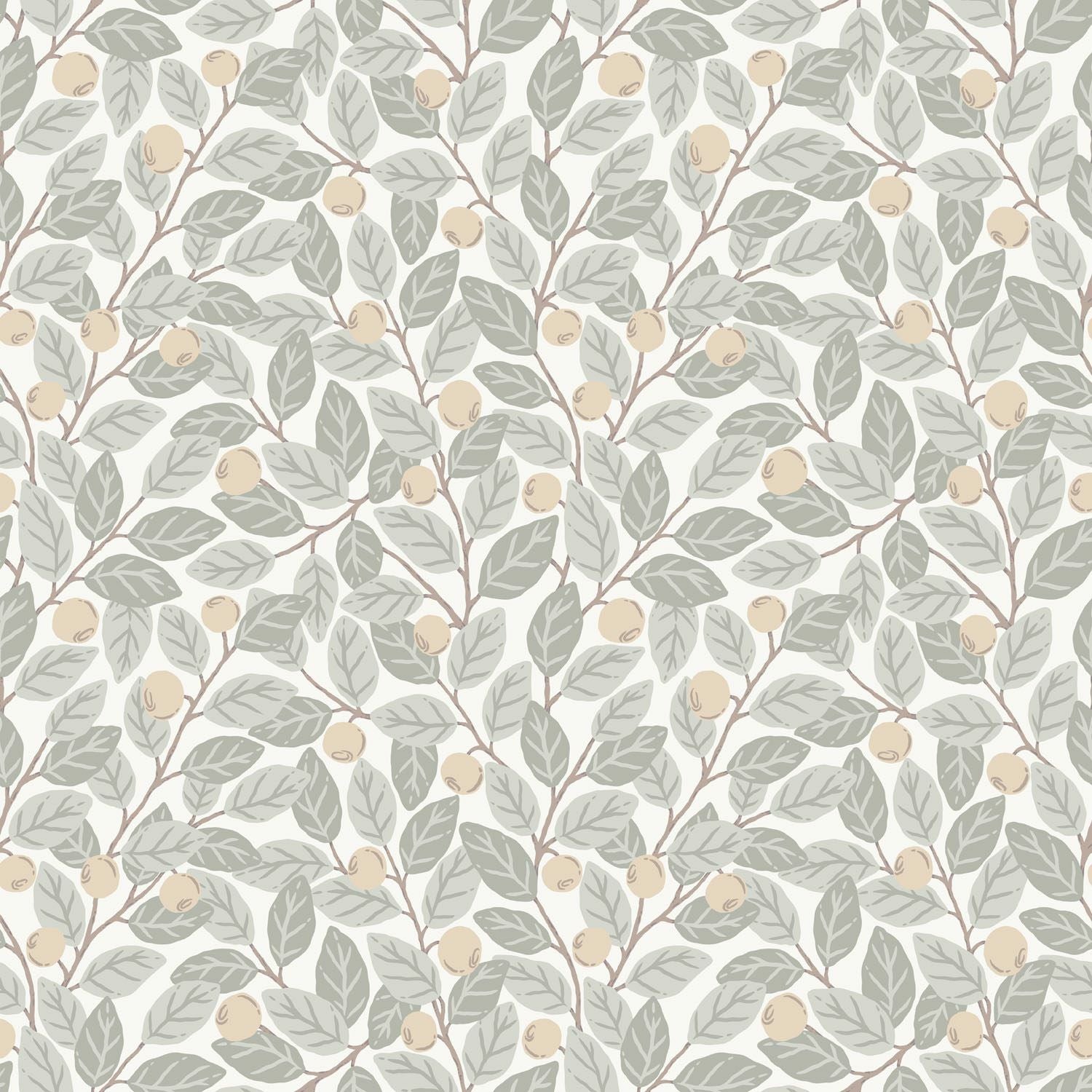 Blåbär - Light - Malprivat.dk