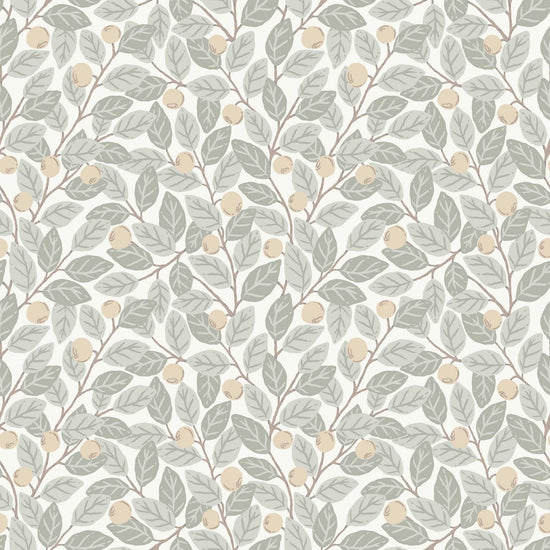 Blåbär - Light - Malprivat.dk