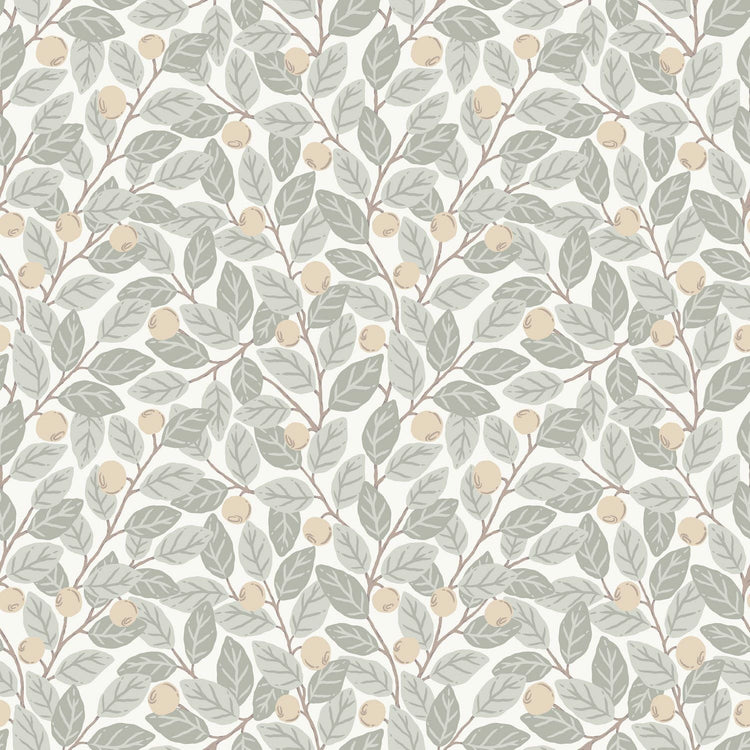 Blåbär - Light - Malprivat.dk