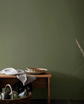Jotun Lady NATURAL GREEN - 8575 - Malprivat.dk