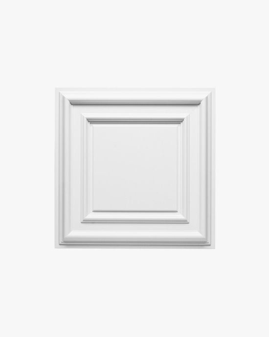 Orac Purotouch Loftflise F30 - Malprivat.dk