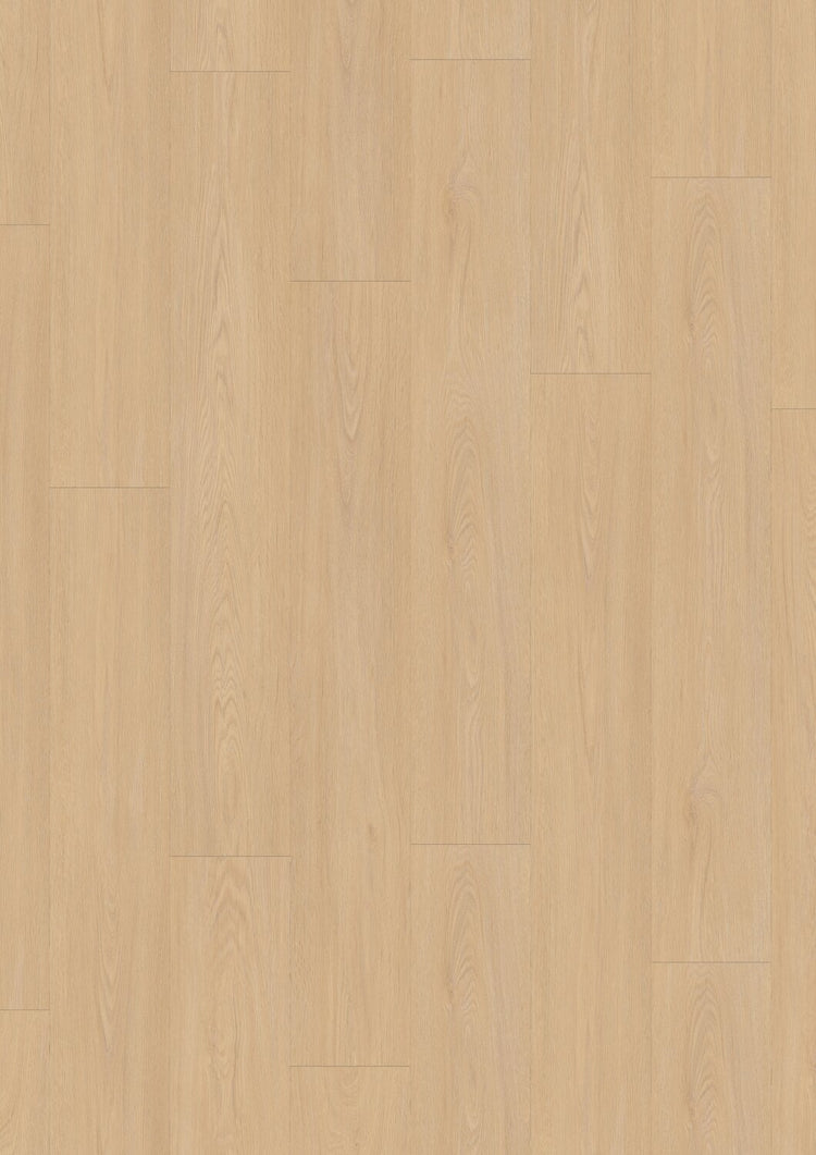 Virtuo 55 Click, 5.7mm - CLEAR 1462 - Malprivat.dk